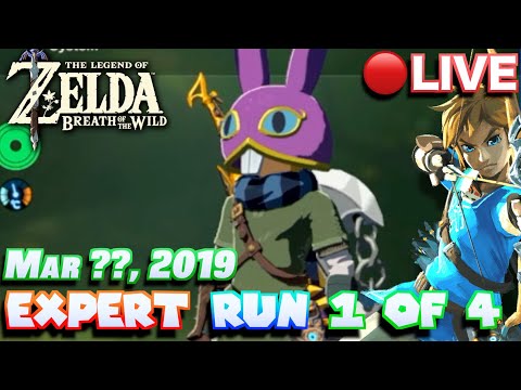🔴Special Streams | Recovered BOTW Expert Master Mode Run Stream (1/4) [March ??, 2019]