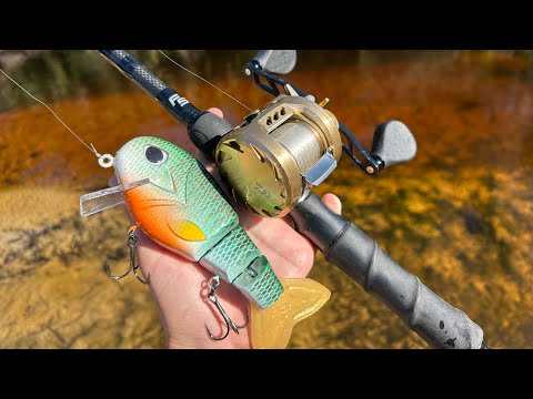 Fishing A Secret Florida River For Giant Fish