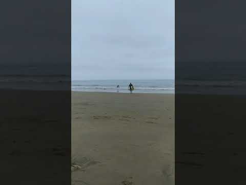 Rats Beach means Right of Torrance Beach.