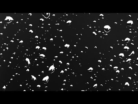 White Noise Gentle Rain (Black Screen) | Steady Rainfall to Relax and Sleep (no thunder)