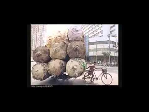 Rehtom Foundations -  massage for all