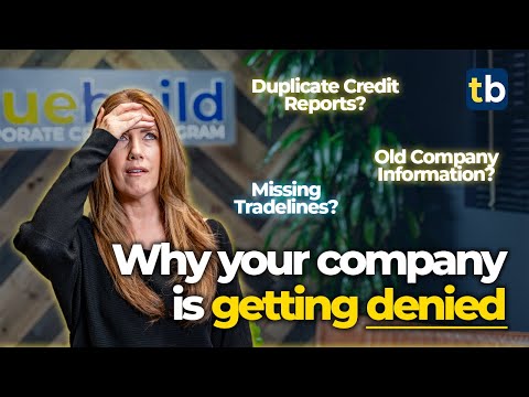 Why Good Data is Critical in Building Business Credit - TrueBuild Program