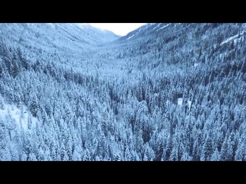 7 minutes de Belle musique relaxante pour soulager le stress, musique douce pour dormir rapidement,