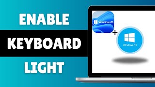 How To Enable Keyboard Light On HP laptop Windows 10/11