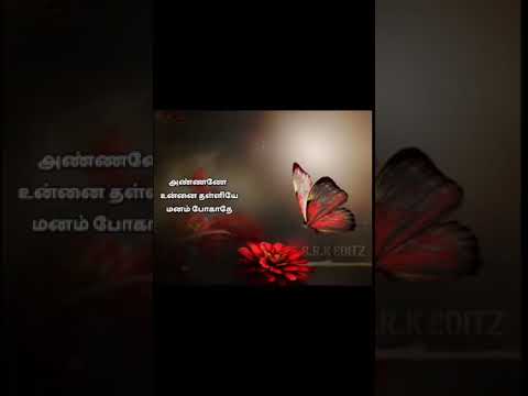 Deivam Neethanea... udanpirapu movie song edit ... #srkeditz #annathangachilove 💙