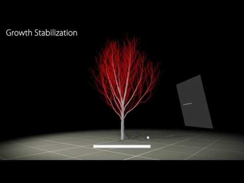 Windy Trees: Computing Stress Response for Developmental Tree Models