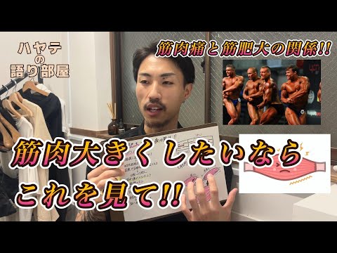 筋肥大と筋肉痛ってイコールなの？そこについてちょっと深掘り【PGPチャンネルハヤテの語り部屋】