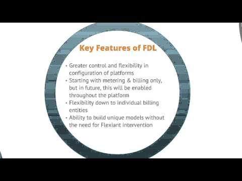 V3.1 Extensibility and Flexibility in Cloud