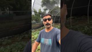 Get a remote job easily with these websites