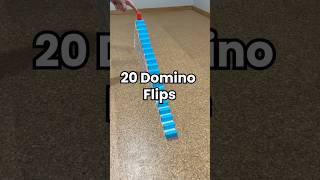 1 to 20 Domino Flips