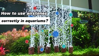 How to Use Air Stones Correctly in Aquariums