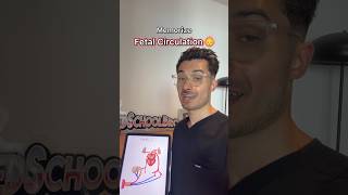 Memorize Fetal Circulation in 60s 🫀👶#medstudent #medicalstudent #usmle #usmlestep1 #medschool