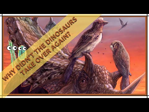 Why Didn't the Dinosaurs Take Over Again?