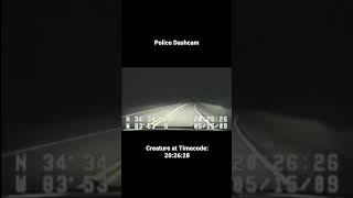 Bigfoot Caught on Police DashCam! #bigfoot #dashcam #