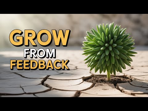 Receiving Feedback Made Easy: Breaking down Dr Ola’s Model