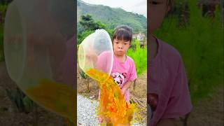 Funny short videos #funny #cute🤣🤣