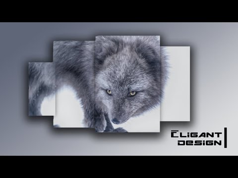 eligant design || UI /UX designing || pure css