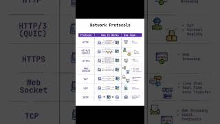 Network Protocols Explained | HTTP, HTTPS, WebSocket, TCP, UDP, SMTP & More