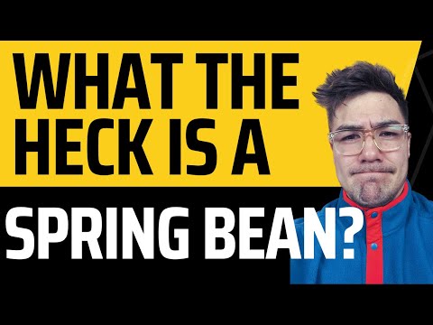 What the heck is a Spring Bean? 😭
