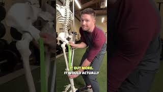 Why most people have a tighter left hamstring #hamstringstretch #hamstringstretches #hamstrings #fit