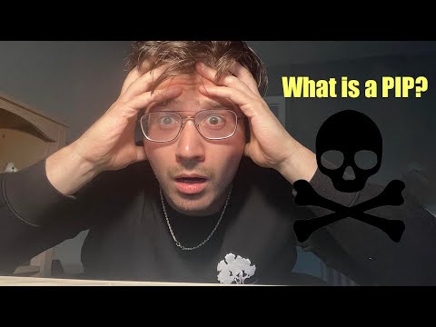 What is a Performance Improvement Plan (PIP). My experience!