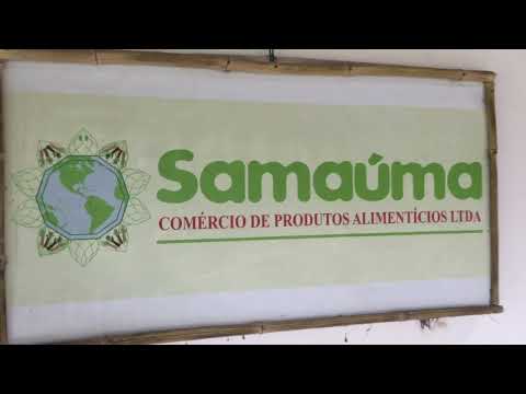 #Samaumaltda #guaranaaea #alterdochao