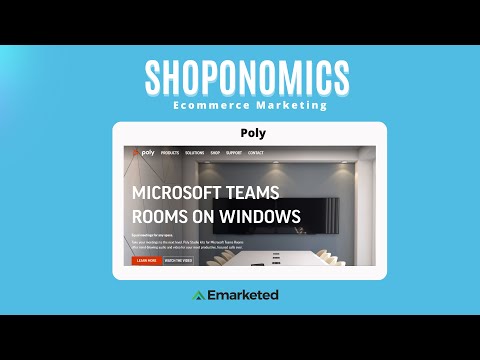 Poly Website Audit