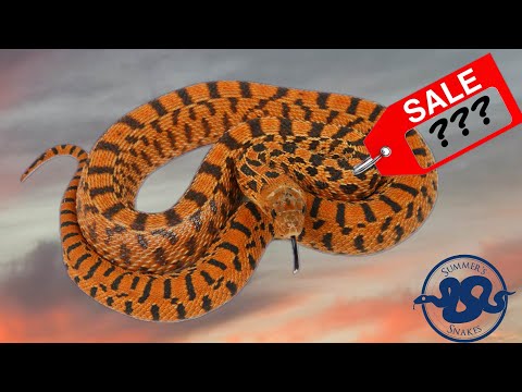 FOR SALE! - Everything Has To Go!