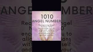 1010 Divine timing is aligning in your life now..💙🩵💙🩵