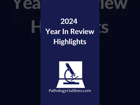 2024 Year In Review Highlights