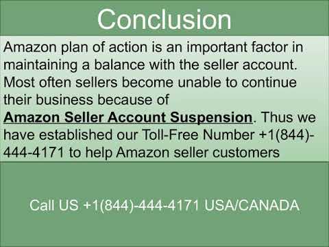 How to Write Amazon Appeal Plan Of Action?
