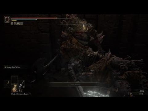 Weird Elden Ring Glitch