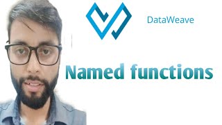 Named Function in dataweave 2 0
