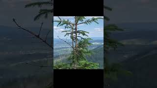Military hike-deployment. #shorts #shortvideo #short #military #deployment #hiking #travel #soldier