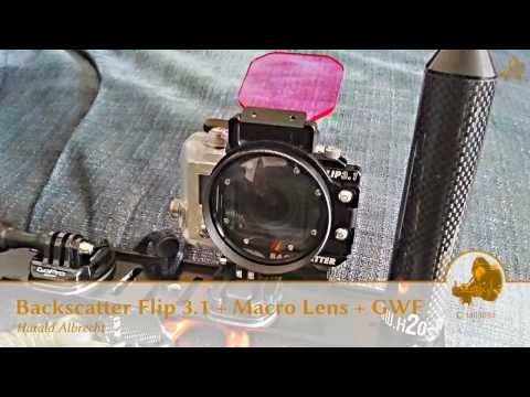 Backscatter Flip 3.1 Green Water Filter & +10 Macro Lens