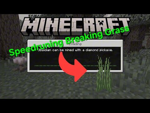 (POSSIBLE) Fastest time to break grass in Minecraft Bedrock
