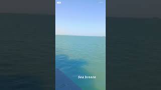 #merchantnavy#sealife #sailor #🇦🇪#howtojoinmerchantnavy