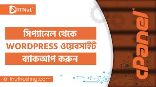 How to Backup WordPress Website from cPanel | IT Nut Hosting