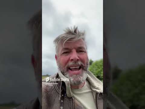 Is this the best medicine plant? SELF HEAL #forager #herbalmedicine #bushcraft #remedies