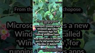 Microsoft Windows App. Real-time Linux part of kernel. Amazon AI Selling Assistant Project Amelia