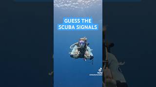 Common Scuba Diver Hand Signals | Scuba Diving Tips #scubadiver #diving #scubadiving