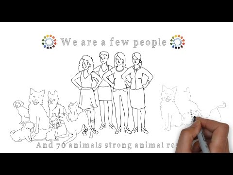 Explainer animation - Anima Subotica Rescue