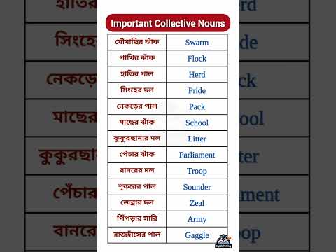 Important Collective Nouns for All Exams | বাংলা অর্থসহ #psc #ssc #englishtips #education #tet