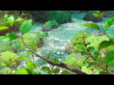 "The beauty in Simplicity" Relaxing Music with Gentle Stream