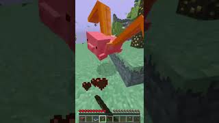 I Use Minecraft's AETHER Mod... #shorts