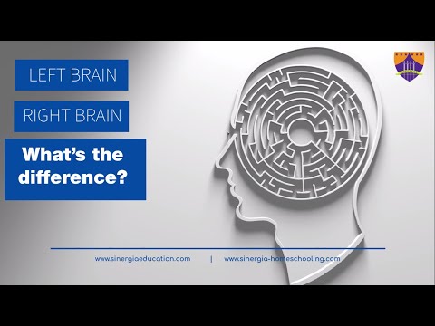 Left Brain vs Right Brain