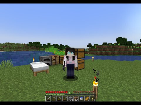 MODの力に溺れたクラフターのバニラマイクラ②【志良堂 葵空】