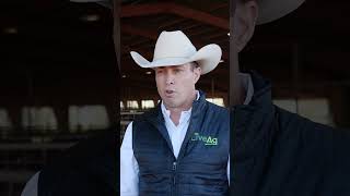 Looking for a better way to market your livestock? #livestockmarketing #ranching