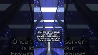 How Does a Website Load So Fast? Here’s What Happens Behind the Scenes! #WebTips #TheOneMinTech