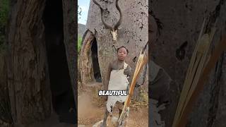 Baobab tree #shortvideo #tree #facts